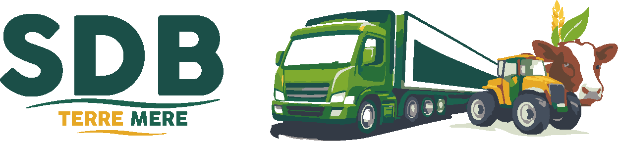 Bienvenue | SD Business Terre Mere